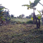 Land behind school building.jpg